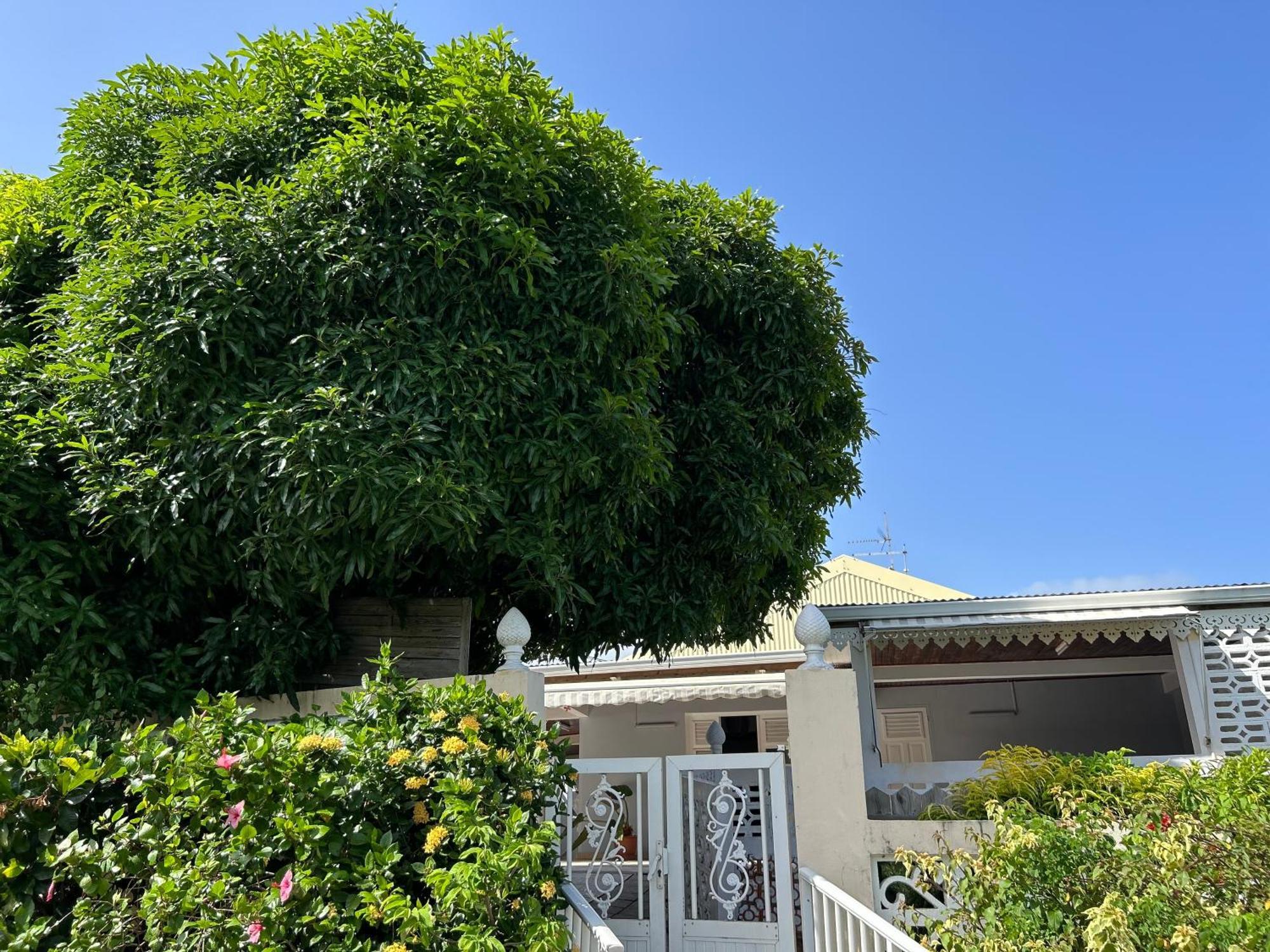 Villa à louer à Sainte-Anne en Martinique Extérieur photo
